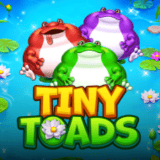 Tiny Toads